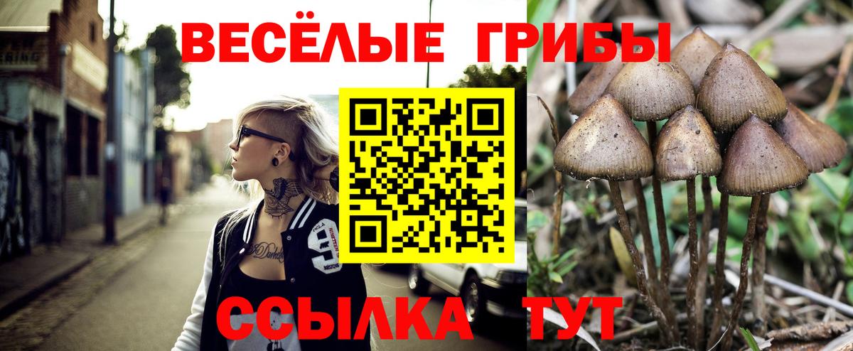 Галлюциногенные грибы Psilocybine cubensis  Вход с VPN  Псилоцибиновые грибы Psilocybe  Сунжа 