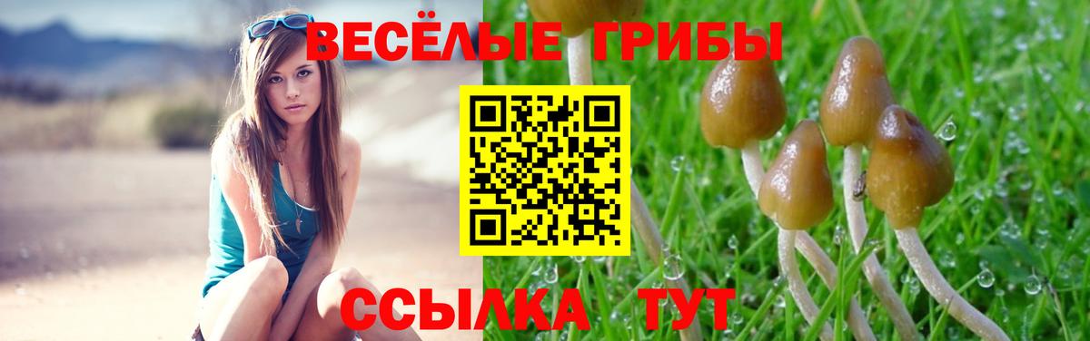 Гашиш Сунжа
